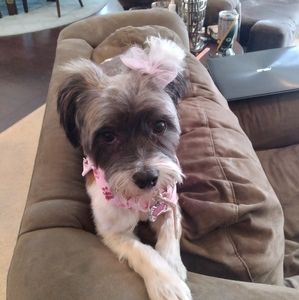 Meet your Posher, Jessica